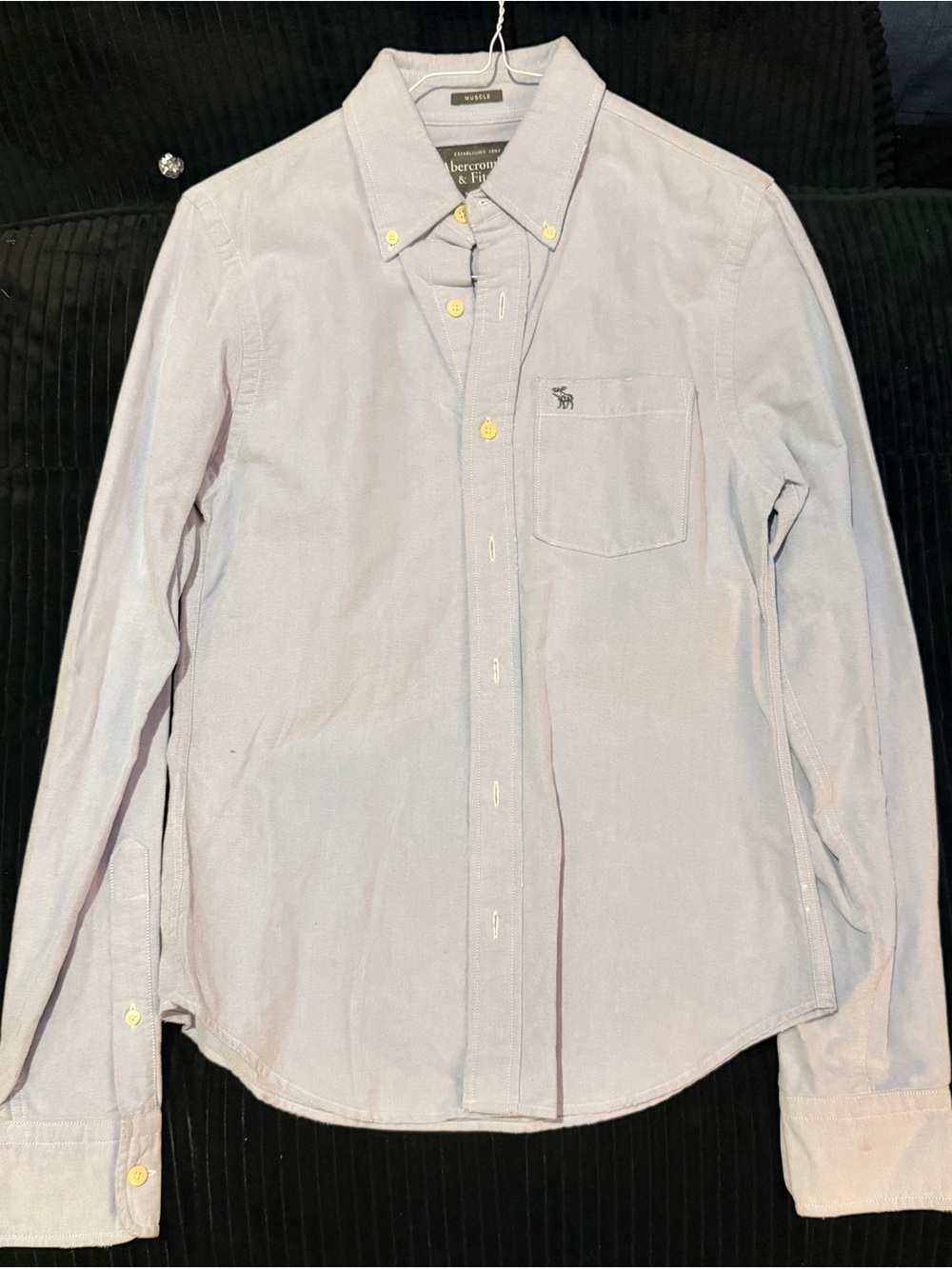 Abercrombie & Fitch Men’s Small Blue Muscle Fit Button Down Shirt